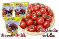 機能性表示食品 Hapitoma ハピトマ 3種盛り（1.2kg）【配送不可：離島】 [№5786-4714]