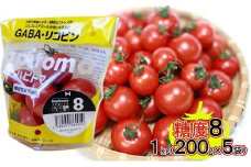 機能性表示食品 Hapitoma ハピトマ 糖度8（1kg）【配送不可：離島】 [№5786-4717]