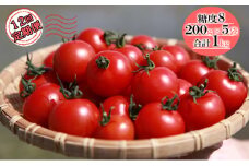 【12ヶ月定期便】機能性表示食品 Hapitoma ハピトマ 糖度8（1kg）【配送不可：離島】 [№5786-4720]