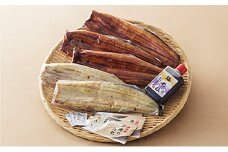 うなぎ 浜名湖 国産 蒲焼 125g×3尾 + 白焼 110g×2尾 計 5尾 小分け たれ付 セット うなぎ蒲焼 白焼き 食べ比べ 浜名湖うなぎ 浜名湖産 国産うなぎ 惣菜 おかず ギフト 贈答 土用の丑の日 丑の日 うな重 鰻 真空パック 冷凍 冷凍配送 静岡 浜松市 [№5786-4724]
