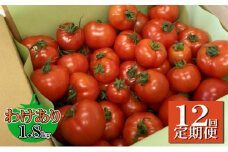 【12ヶ月定期便】機能性表示食品　Hapitoma ハピトマ　わけあり（1.8kg）【配送不可：離島】 [№5786-4725]