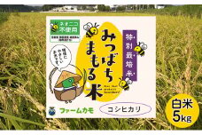 【2025年10月上旬より順次発送】雄踏ファームカモ産「特選みつばちまもる米」5kg コシヒカリ お米 ご飯 主食 ライス お弁当 おにぎり もちもち  [№5786-4761]