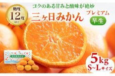 三ヶ日みかん プレミアム 早生 5kg S～Lサイズ混合 11月下旬より順次発送 みかん ミカン 蜜柑 早生みかん 三ヶ日 果物 くだもの フルーツ 旬の果物 旬のフルーツ 柑橘 柑橘類 糖度 静岡 静岡県 浜松市 [№5786-4774]