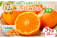 【2024年12月下旬より順次発送】三ヶ日みかん プレミアム（青島5kg）光センサー選果[№5786-4775]