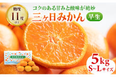 三ヶ日みかん 早生 5kg S～L 11月下旬より順次発送 みかん ミカン 蜜柑 早生みかん 三ヶ日 果物 くだもの フルーツ 旬の果物 旬のフルーツ 柑橘 柑橘類 糖度 静岡 静岡県 浜松市 [№5786-4776]