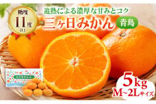先行予約 青島みかん M～2Lサイズ 5kg 三ヶ日みかん 果物 くだもの フルーツ 旬の果物 旬のフルーツ みかん 蜜柑 ミカン 三ヶ日 青島 柑橘 柑橘類 静岡 静岡県 浜松市 [№5786-4777]