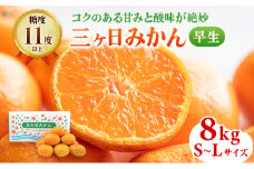 三ヶ日みかん 早生 8kg S～L 11月下旬より順次発送 みかん ミカン 蜜柑 早生みかん 三ヶ日 果物 くだもの フルーツ 旬の果物 旬のフルーツ 柑橘 柑橘類 糖度 静岡 静岡県 浜松市 [№5786-4778]