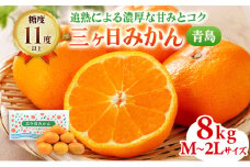 三ヶ日みかん 青島 8kg M～2L 12月下旬より順次発送 みかん ミカン 蜜柑 青島みかん 三ヶ日 果物 くだもの フルーツ 旬の果物 旬のフルーツ 柑橘 柑橘類 糖度 静岡 静岡県 浜松市 [№5786-4779]