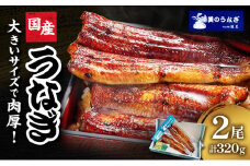 うなぎ 浜松 国産 鰻 蒲焼 2尾 (160g×2尾 タレ75ml×1 山椒付) セット 勝美 土用の丑の日 丑の日 小分け 真空パック 国産うなぎ 浜松うなぎ 浜名湖うなぎ 蒲焼き ギフト プレゼント 贈答 浜名湖 産地直送 冷凍 冷凍配送 静岡 静岡県 浜松市 [№5786-4780]
