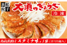 浜松餃子 大須のぎょうざ［ 浜松ぎょうざ にんにくマシマシ！元気回復！＜ スタミナ味 ＞］× 5袋（1袋20個入、合計100個） [№5786-4911]
