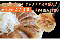 浜松餃子 大須のぎょうざ［ 浜松ぎょうざ とまらぬコクと旨いを堪能！＜ こくうま味 ＞］× 5袋（1袋20個入、合計100個） [№5786-4919]