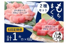 【6回定期便】 マグロセット 定期便 6ヶ月 バチマグロ びんちょうまぐろ 中トロ 切り落とし セット 1kg (各250g×2パック) 刺身 刺し身 まぐろ 鮪 マグロ 魚 魚介 魚介類 高級 まぐろ切り落とし 静岡 静岡県 浜松市 6回 定期 【配送不可：離島】 [№5786-4954]