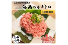 【3回定期便】 SANKO海商 ネギトロ 定期便 3ヶ月 冷凍ネギトロ 1kg (250g×4パック) セット 詰め合わせ ねぎとろ まぐろ 鮪 マグロ 魚 魚介 魚介類 冷凍 静岡 静岡県 浜松市 3回 定期 【配送不可：離島】 [№5786-4959]