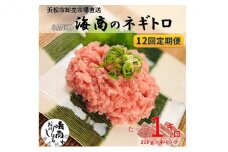 【12回定期便】SANKO海商のネギトロ 1kg（250g×4パック）×12回【配送不可：離島】 [№5786-4961]
