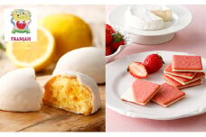 お菓子 詰め合わせ 【フランセ】 レモンケーキ 1箱12個入 ビスキュイ 1箱9枚入 定番 セット ケーキ 個包装 スイーツ 洋菓子 菓子 おかし おやつ デザート レモン ストロベリー クッキー サンド カマンベール チョコレート 静岡 浜松【冷蔵配送】[№5786-4946]