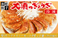浜松餃子 大須のぎょうざ［ 浜松ぎょうざ 贅沢バラエティーセット 4味 ＜ レギュラー、こいくち、スタミナ、こくうま ＞］× 5袋（1袋20個入、合計100個） [№5786-4962]