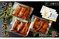 うなぎ 浜名湖 国産 串焼き うなぎ蒲焼 3袋 (100g以上×3 タレ 山椒 付き) 丸半堀江商店 小分け カット 浜名湖うなぎ 浜名湖産 国産うなぎ 惣菜 おかず 土用の丑の日 丑の日 蒲焼き 鰻 真空パック 冷蔵 冷蔵配送 静岡 静岡県 浜松市 配送不可：離島 [№5786-4983]