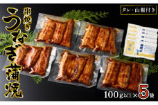 〈丸半堀江商店〉浜名湖産 串焼きうなぎ蒲焼 5袋（100g以上×5袋・タレ・山椒付き）【配送不可：離島】 国産 真空パック [№5786-4984]