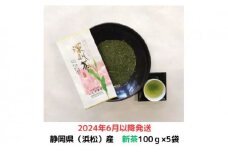 【2024年6月以降発送】〈いしだ茶屋〉新茶 静岡県浜松市産 深むし茶 100g×5袋【お茶 緑茶 煎茶 茶葉】[№5786-5027]