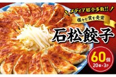 元祖 浜松餃子 石松の定番餃子詰合せ 60個入り【配送不可：離島】 [№5786-5030]