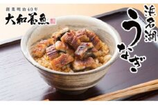 うなぎ 訳あり 浜名湖 国産 蒲焼 きざみ (60g×10) たれ セット 小分け カット うなぎ蒲焼 きざみうなぎ 惣菜 おかず 丑の日 ひつまぶし 鰻 冷凍 静岡 浜松市 5月6日以降順次発送 配送不可：離島 [№5786-5032]
