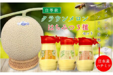 クラウンメロン並【白等級】中玉1玉＋アラキ養蜂園の国産はちみつ【アカシア＋ミカン＋野の花】300g×各1本（合計900g） [№5786-4963]