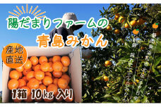 先行予約【2026年1月上旬より順次発送】陽だまりファーム 三ヶ日 青島 みかん 10kg 1箱 果物 柑橘類 フルーツ 三ヶ日みかん 濃厚 熟成 コク 高級ブランドみかん 産地直送  [№5786-5042]