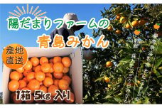 先行予約【2026年1月上旬より順次発送】陽だまりファーム 三ヶ日 青島 みかん 5kg 1箱 果物 柑橘類 フルーツ 三ヶ日みかん 濃厚 熟成 コク 高級ブランドみかん 産地直送  [№5786-5043]