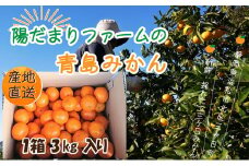 先行予約 みかん 3kg 1箱 陽だまりファーム 三ヶ日みかん 青島みかん 三ケ日みかん 蜜柑 ミカン フルーツ 果物 季節のフルーツ 季節の果物 旬のフルーツ 旬の果物 柑橘 柑橘類 産地直送 静岡 静岡県 浜松市 [№5786-5044]