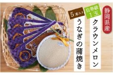 クラウンメロン【並（白等級）】1玉（1.3kg前後）＋うなぎ蒲焼（120g×5尾）セット [№5786-4923]