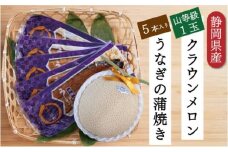 クラウンメロン【上（山等級）】1玉（1.3kg前後）＋うなぎ蒲焼（120g×5尾）セット [№5786-4931]