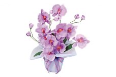 光の楽園 ホットファレノ 光触媒 フェイクグリーン フェイクフラワー 造花 フェイク 観葉植物 消臭 抗菌 防汚 ホルムアルデヒド 分解 インテリア 静岡 静岡県 浜松市 【配送不可：北海道・沖縄・離島】 [№5786-5051]