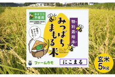 【2025年11月下旬より順次発送】雄踏ファームカモ産 玄米「みつばちまもる米」5kg（品種：にこまる） ブランド米 銘柄米 お弁当 おにぎり 特別栽培米 冷めても美味しい 1等米 産地直送 食べ物 主食 国産  [№5786-5101]