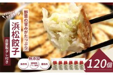 浜松餃子 知久屋 どっさり セット 120個 (20個×6袋) 詰め合わせ 自家製 たれ 24袋 ぎょうざ 餃子 ギョーザ 冷凍餃子 冷凍ぎょうざ 冷凍 冷凍食品 中華 惣菜 食品 おかず 静岡 静岡県 浜松市 【配送不可：離島】 [№5786-5115]