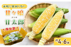とうもろこし 先行予約 甘々娘 または 甘太郎 約4～6本 春のテルもろこし 個包装 レンジ調理 レンチン 野菜 夏 旬 冷蔵 冷蔵配送 静岡 静岡県 浜松市 6月下旬頃より順次発送 配送不可：離島 [№5786-5130]