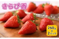 【2026年1月中旬より順次発送】いちご きらぴ香 260g×2パック【配送不可：離島】 果物 フルーツ デザート 食後 新品種 酸味が少ない 甘味が強い 国産 静岡県産 浜松市産 [№5786-5094]