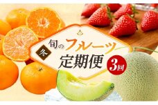 フルーツ 定期便 3ヶ月 三ヶ日みかん いちご クラウンメロン 果物 旬の果物 旬のフルーツ みかん 青島みかん 静岡クラウンメロン 3回 フルーツ定期便 詰め合わせ セット 静岡県 浜松市 【配送不可：離島】[№5786-5098]