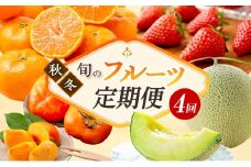 フルーツ 定期便 4ヶ月 次郎柿 三ヶ日みかん いちご クラウンメロン 果物 旬の果物 青島みかん 静岡クラウンメロン 4回 フルーツ定期便 詰め合わせ セット 静岡 静岡県 浜松市 【配送不可：離島】[№5786-5099]