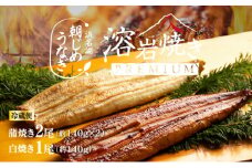 浜名湖産 朝じめ鰻 溶岩焼きコンビセット 約140g×3尾（蒲焼き 2尾・白焼き 1尾） [№5786-5092]