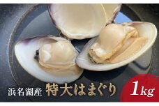 浜名湖産 特大はまぐり 1kg【配送不可：北海道・沖縄・離島】 たっぷり 栄養 貝柱 ぷりぷり 食感 美味しい 浜松市 [№5786-5151]