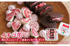 イチゴ缶 苺のチョコレート ご褒美クッキー ギフト セット いちごクッキー いちごチョコ メレンゲクッキー 苺 クッキー チョコ クッキー缶 可愛い お菓子 おやつ 焼菓子 焼き菓子 静岡県 浜松市 [№5786-5270]