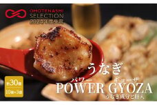 浜松餃子 うなぎパワー餃子 30個（10個入×3袋） 【配送不可：離島】 餃子 ぎょうざ 冷凍 惣菜 冷凍餃子 新感覚 お酒が進む ご飯が進む 岩塩 うなぎスープが溢れ出す 贅沢 肝の歯ごたえ[№5786-5152]