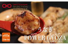 浜松餃子 うなぎパワー餃子 60個（10個入×6袋） 【配送不可：離島】 餃子 ぎょうざ 冷凍 惣菜 冷凍餃子 新感覚 お酒が進む ご飯が進む 岩塩 うなぎスープが溢れ出す 贅沢 肝の歯ごたえ[№5786-5153]
