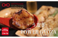 浜松餃子 うなぎパワー餃子 90個（10個入×9袋） 【配送不可：離島】 餃子 ぎょうざ 冷凍 惣菜 冷凍餃子 新感覚 お酒が進む ご飯が進む 岩塩 うなぎスープが溢れ出す 贅沢 肝の歯ごたえ[№5786-5154]