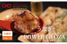 【定期便 全3回】 浜松餃子 うなぎパワー餃子 30個（10個入×3袋） ×3回【配送不可：離島】 餃子 冷凍 新感覚 お酒が進む ご飯が進む 岩塩 うなぎスープが溢れ出す 贅沢 肝の歯ごたえ[№5786-5155]