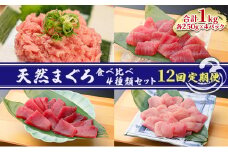 【12回定期便】天然まぐろ食べ比べ4種セット 合計1kg（バチマグロ切落し・びん長マグロ・ミナミマグロ・ネギトロ 250g×各１袋）×12回【配送不可：離島】 [№5786-5281]