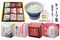 キューブ米 直虎乃こころ 300g 9個 セット 詰め合わせ 米 無洗米 お米 おこめ こめ コメ 白米 精米 ご飯 ごはん ギフト 贈り物 プレゼント 備蓄米 災害用 レジャー アウトドア キャンプ 真空パック 静岡 静岡県 浜松市 [№5786-5294]