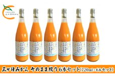 三ヶ日みかん そのまま絞り 6本セット（720ml×6本セット） みかん ジュース 100%[№5786-5296]