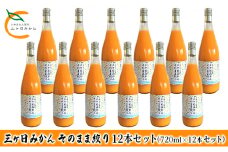 三ヶ日みかん そのまま絞り 12本セット（720ml×12本セット） みかん ジュース 100%[№5786-5297]