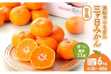 三ヶ日みかん 青島 6kg L～2L 青島みかん みかん 蜜柑 ミカン 果物 くだもの 旬のフルーツ 旬の果物 季節のフルーツ 季節の果物 柑橘 柑橘類 静岡 静岡県 浜松市  [№5786-5343]